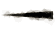 previous arrow