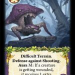 Spider Web Mushrooms