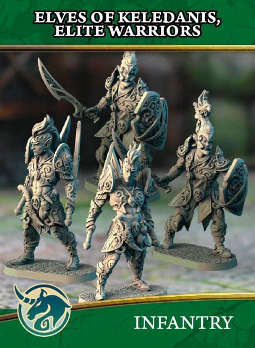 Elves of Keledanis, Elite Warriors - Image 1