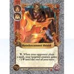 Reinforcement Shield