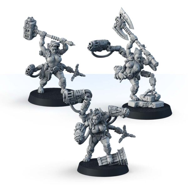 Sternverg Steelsister Berserkers