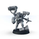 Sternverg Steelsister Berserkers - Image 6